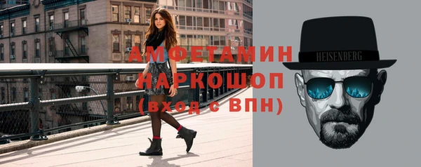 дмт Богданович