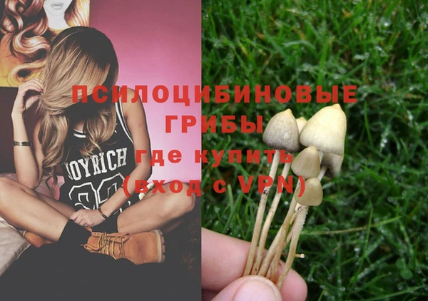 дмт Богданович