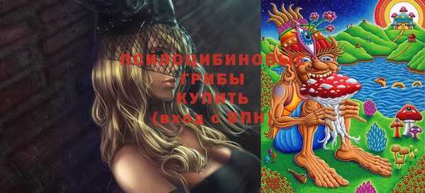 дмт Богданович