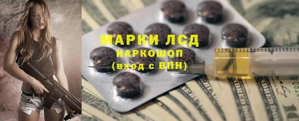 дмт Богданович