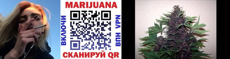 где найти Клин МАРИХУАНА сатива
